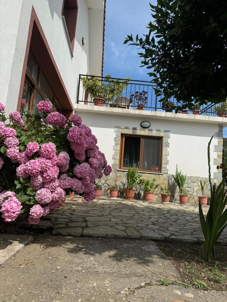 Villa Zefi Rrenc Papaj Exteriér fotografie